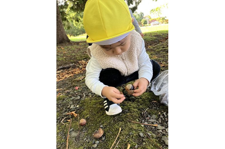 どんぐりを拾うこども