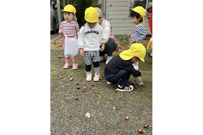 一生懸命拾うこども