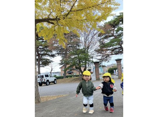 函館市　桔梗　保育園　落ち葉拾い　様子
