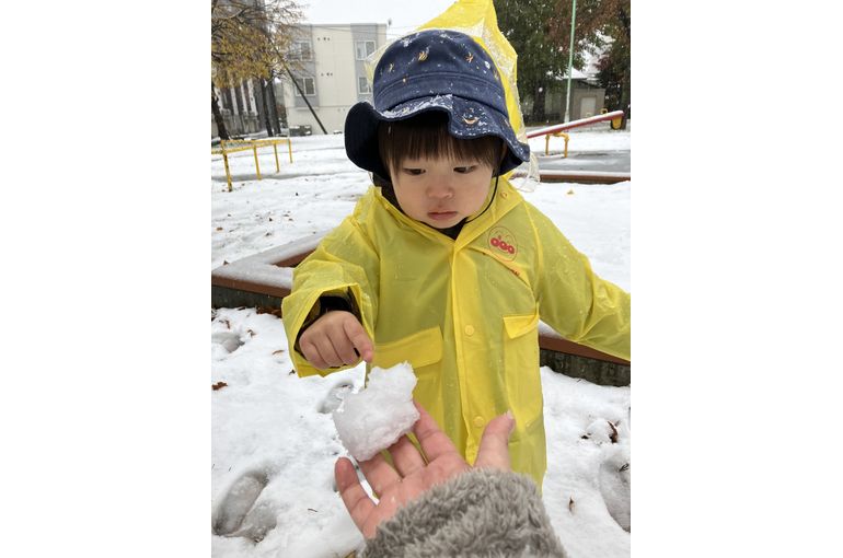 札幌　南平岸　保育園　雪遊び