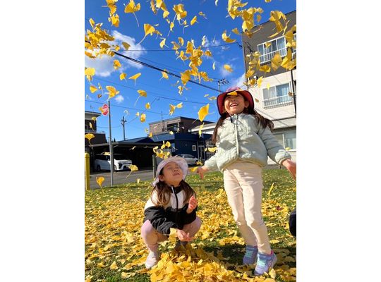 江別　野幌　保育園　秋　イチョウ