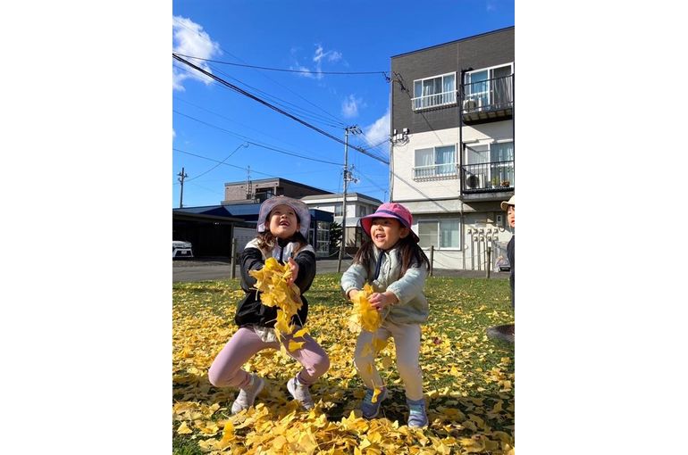 江別　野幌　保育園　秋　イチョウ