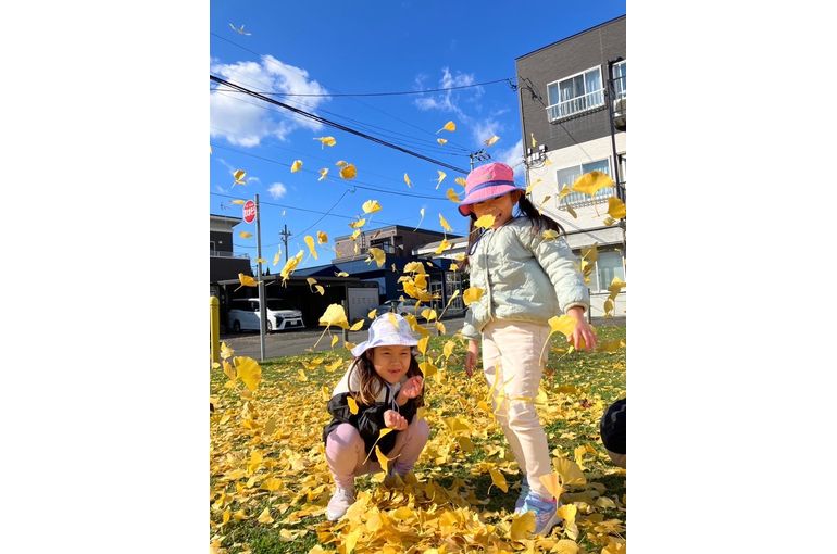 江別　野幌　保育園　秋　イチョウ