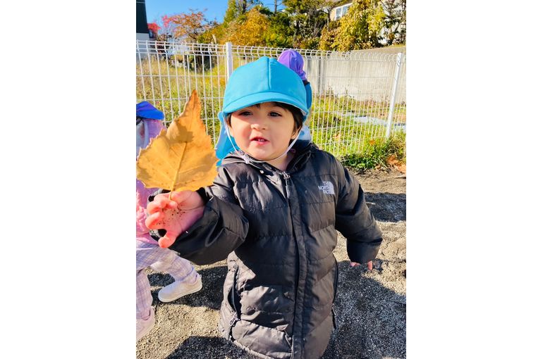 札幌市　厚別　認定保育園　葉っぱ　みつけた　園児