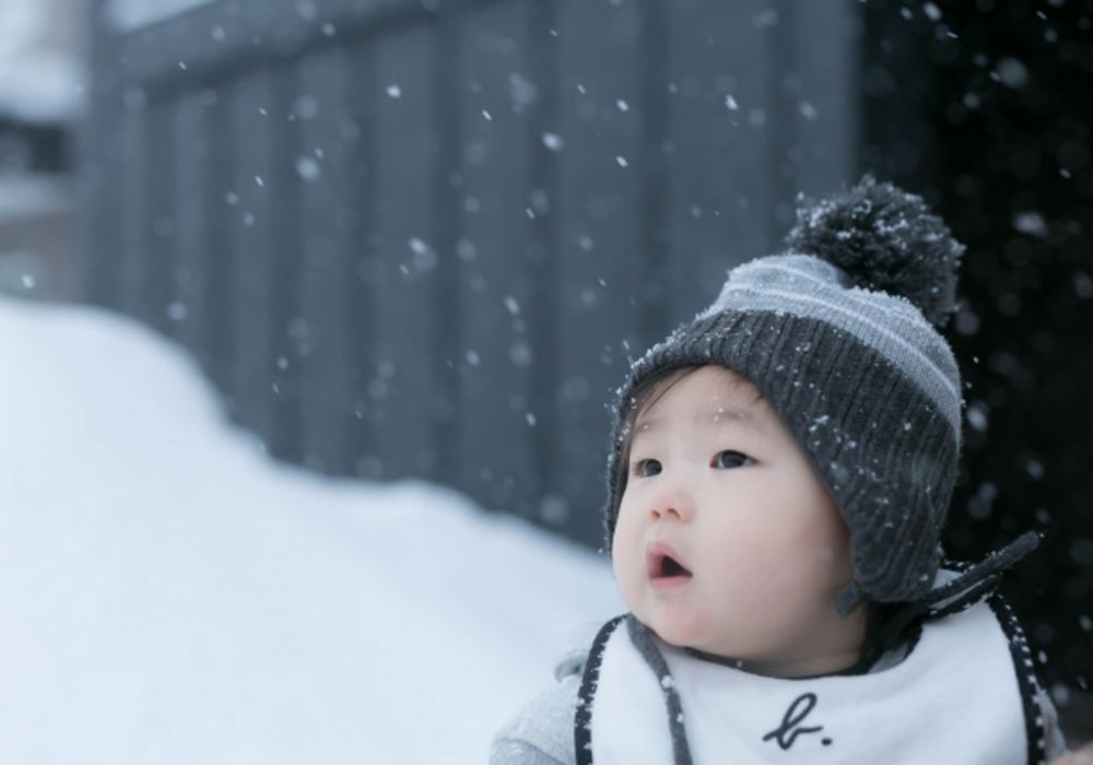 札幌　江別　函館　保育園