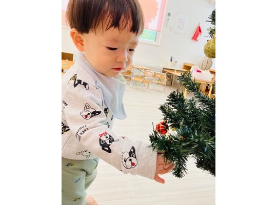 厚別　保育園　クリスマスツリー