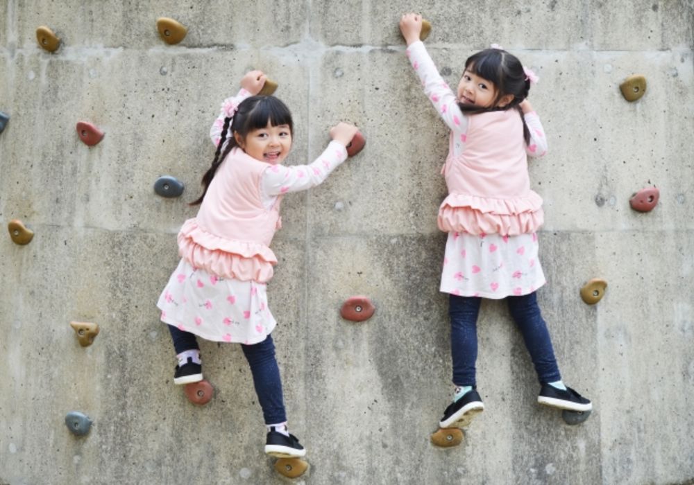 札幌　江別　函館　保育園　案内