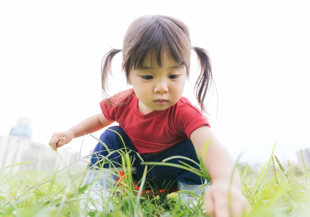 札幌市　保育園　公園で遊ぶ　園児