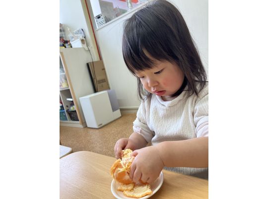 札幌市　南平岸　保育園　みかん　おやつ