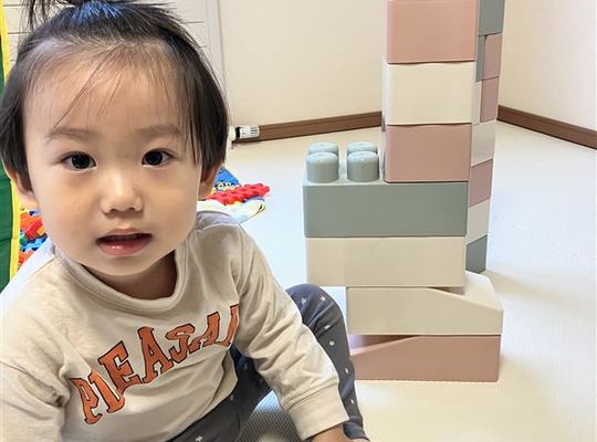 函館市　認定保育園    ブロック