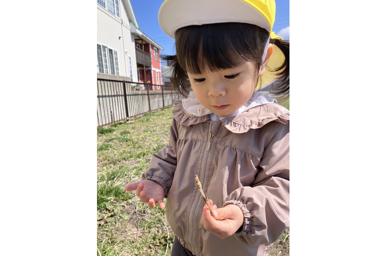 散歩,おさんぽ,お散歩,かわいい,札幌市,保育園,認定保育園,企業主導型保育園,函館市,江別市