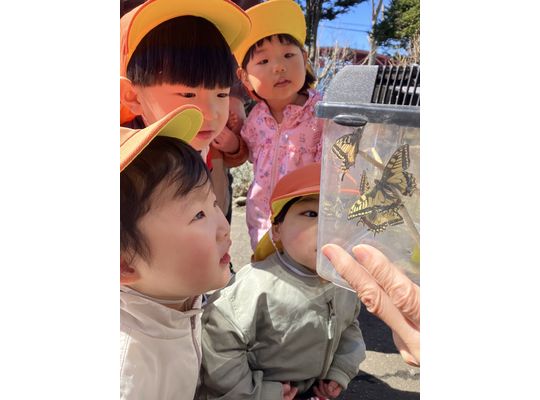 ちょうちょ,かわいい,札幌市,保育園,認定保育園,企業主導型保育園,函館市,江別市
