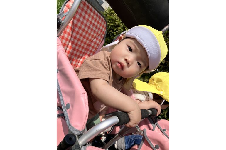 桜,札幌市,保育園,認定保育園,企業主導型保育園,函館市,江別市