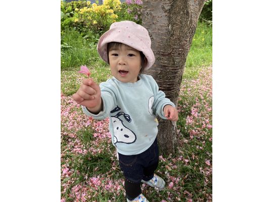 桜,札幌市,保育園,認可保育園,企業主導型保育園,函館市,江別市