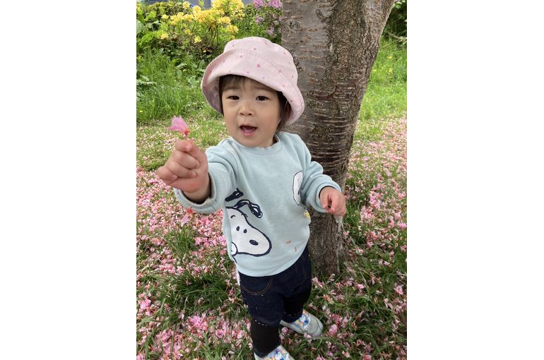 桜,札幌市,保育園,認可保育園,企業主導型保育園,函館市,江別市