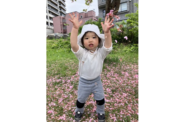 桜,札幌市,保育園,認可保育園,企業主導型保育園,函館