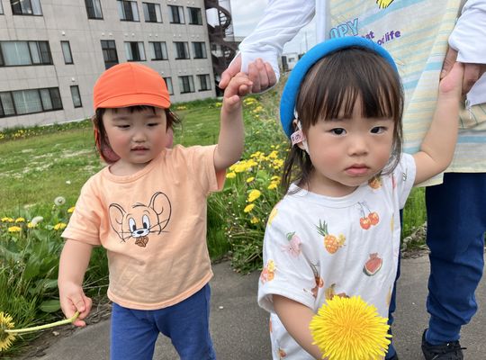 たんぽぽ,札幌市,保育園,認可保育園,企業主導型保育園,函館市,江別市