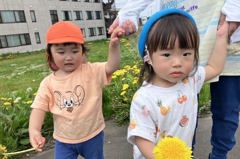 たんぽぽ,札幌市,保育園,認可保育園,企業主導型保育園,函館市,江別市
