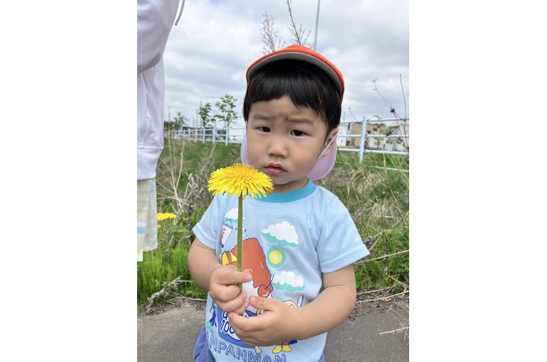 たんぽぽ,札幌市,保育園,認可保育園,企業主導型保育園,函館市,江別市