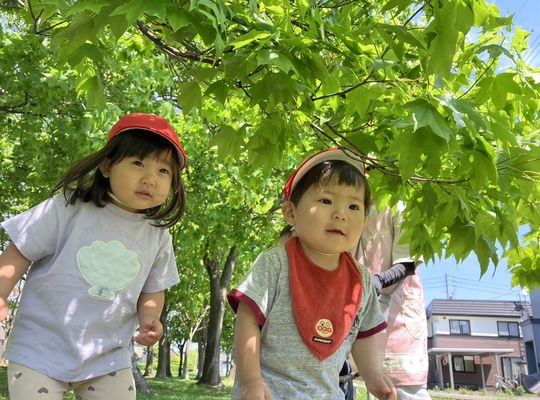 お散歩,かわいい,札幌市,保育園,認可保育園,企業主導型保育園,函館市,江別市