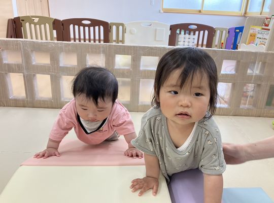 札幌市,保育園,認可保育園,企業主導型保育園,函館市,江別市