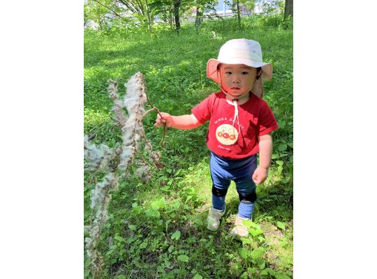 ポプラ,綿毛,札幌市,保育園,認可保育園,企業主導型保育園,函館市,江別市