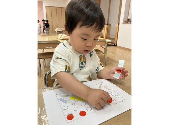 札幌市,保育園,認可保育園,企業主導型保育園,函館市,江別市