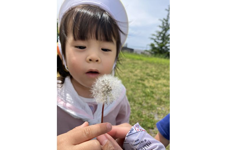 たんぽぽ,札幌市,保育園,認可保育園,企業主導型
