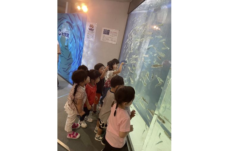 札幌市,保育園，認定こども園,企業主導型保育園,函館市,江別市