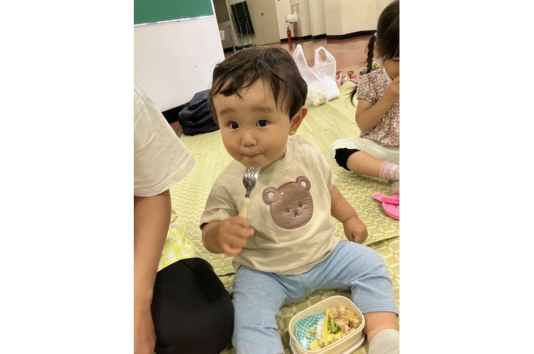 札幌市,保育園,認定こども園,企業主導型保育園,函館市,江別市