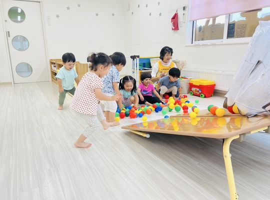 札幌市,保育園,認定こども園,企業主導型保育園,函館市,江別市