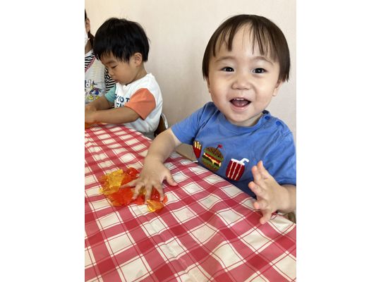 寒天,札幌市,保育園,認定こども園,企業主導型保育園,函館市,江別市