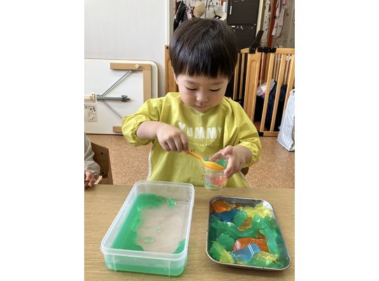 寒天,色水,遊び,札幌市,保育園,認可保育園,企業主導型保育園,函館市,江別市