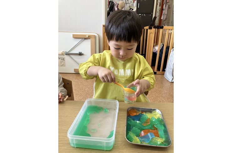 寒天,色水,遊び,札幌市,保育園,認可保育園,企業主導型保育園,函館市,江別市