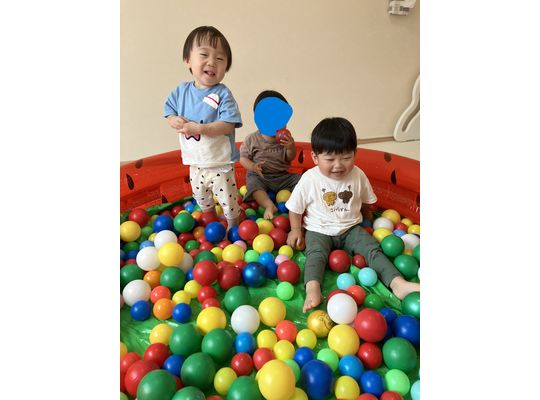 札幌市,保育園,認可保育園,企業主導型保育園,函館市,江別市,認定こども園