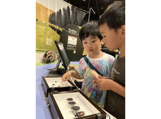 レク,認定こども園,札幌市,保育園,認可保育園,企業主導型保育園,函館市,江別市