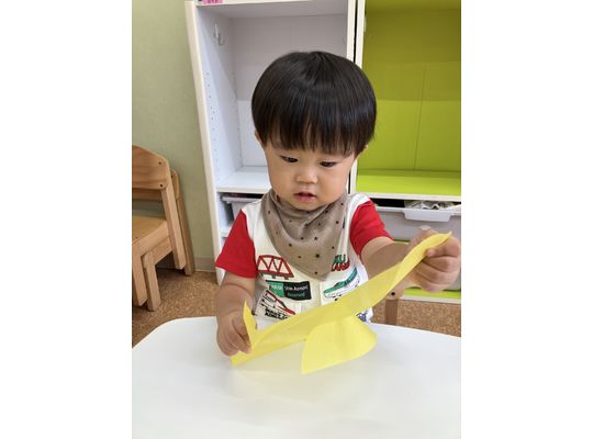 製作,認定こども園,札幌市,保育園,認可保育園,企業主導型保育園,函館市,江別市