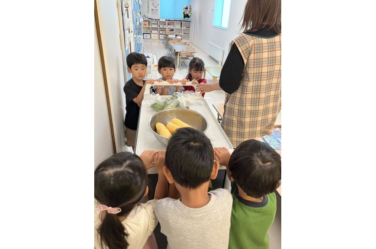 とうもろこし,認定こども園,札幌市,保育園,認可保育園,企業主導型保育園,函館市,江別市