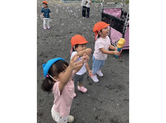 しゃぼん玉,認定こども園,札幌市,保育園,認可保育園,企業主導型保育園,函館市,江別市