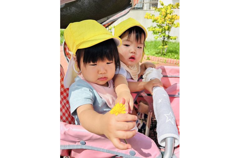 お散歩,運動,認定こども園,札幌市,保育園,認可保育園,企業主導型保育園,函館市,江別市