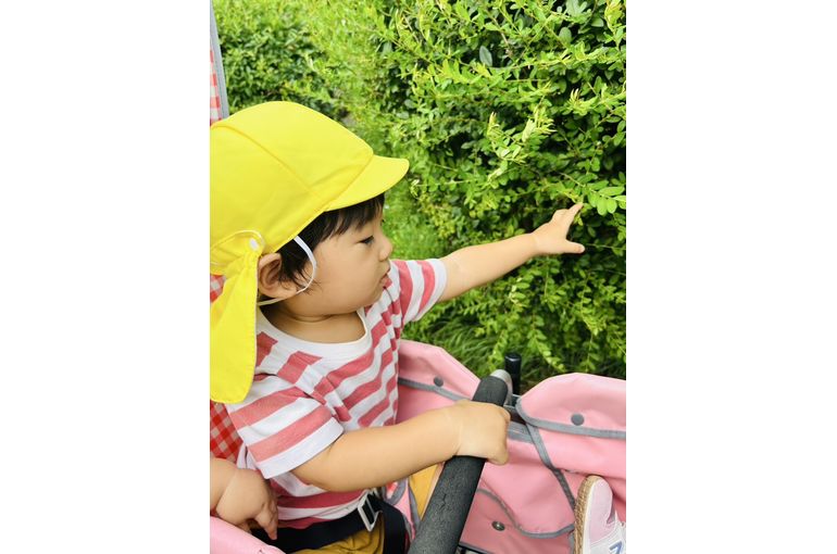 お散歩,運動,認定こども園,札幌市,保育園,認可保育園,企業主導型保育園,函館市,江別市