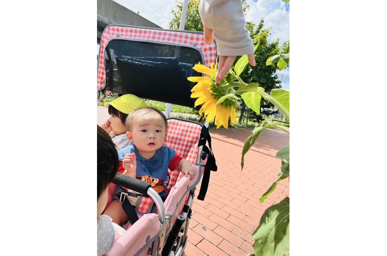 お散歩,運動,認定こども園,札幌市,保育園,認可保育園,企業主導型保育園,函館市,江別市