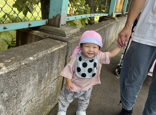ぞうさん,認定こども園,札幌市,保育園,認可保育園,企業主導型保育園,函館市,江別市
