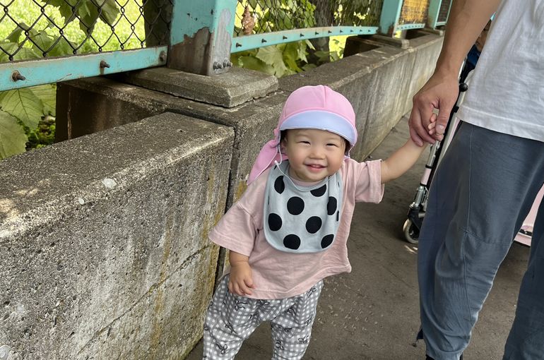 ぞうさん,認定こども園,札幌市,保育園,認可保育園,企業主導型保育園,函館市,江別市
