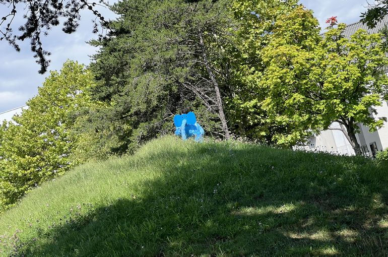 ぞうさん,認定こども園,札幌市,保育園,認可保育園,企業主導型保育園,函館市,江別市