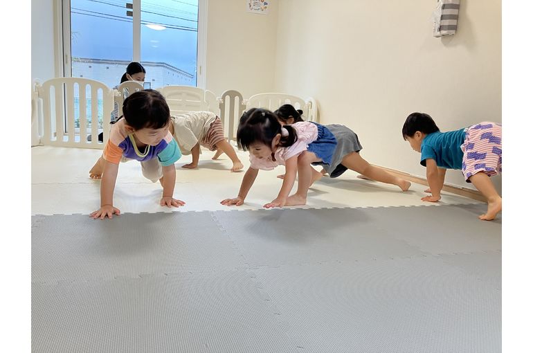 運動,認定こども園,札幌市,保育園,認可保育園,企業主導型保育園,函館市,江別市