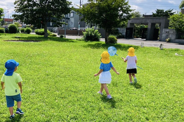 虫,認定こども園,札幌市,保育園,認可保育園,企業主導型保育園,函館市,江別市