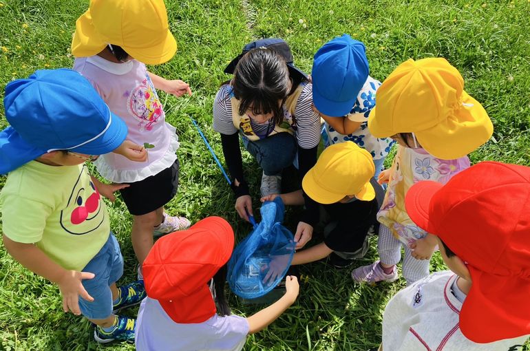 虫,認定こども園,札幌市,保育園,認可保育園,企業主導型保育園,函館市,江別市