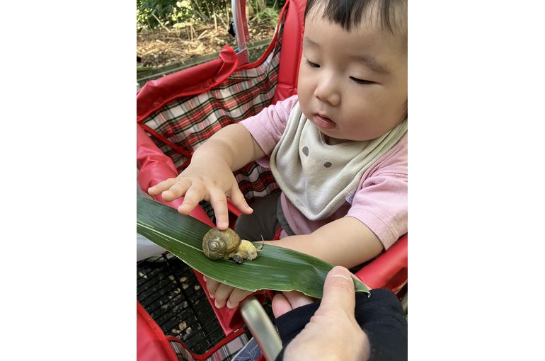 遠足,レク,認定こども園,札幌市,保育園,認可保育園,企業主導型保育園,函館市,江別市