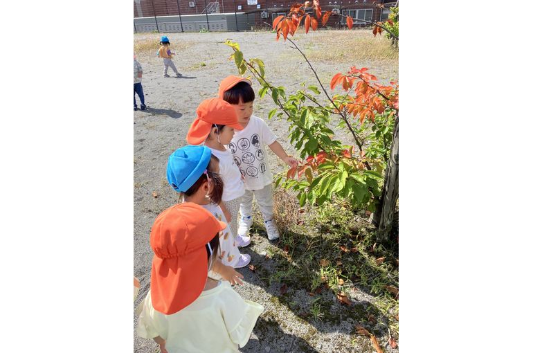 秋,認定こども園,札幌市,保育園,認可保育園,企業主導型保育園,函館市,江別市